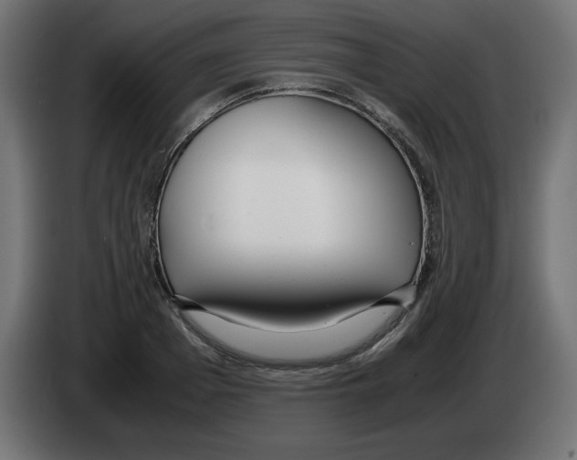 X0000083010985200703021936