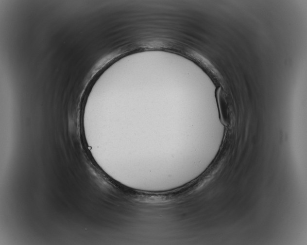 X0000083010986200703021936