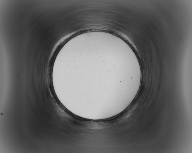 X0000083010987200703021936