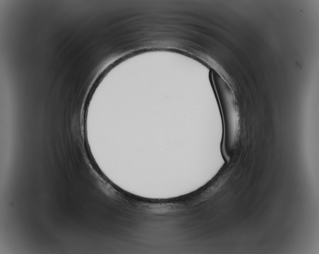 X0000083010988200703021936