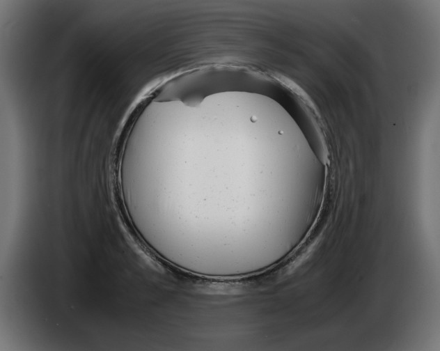 X0000083010989200703021936