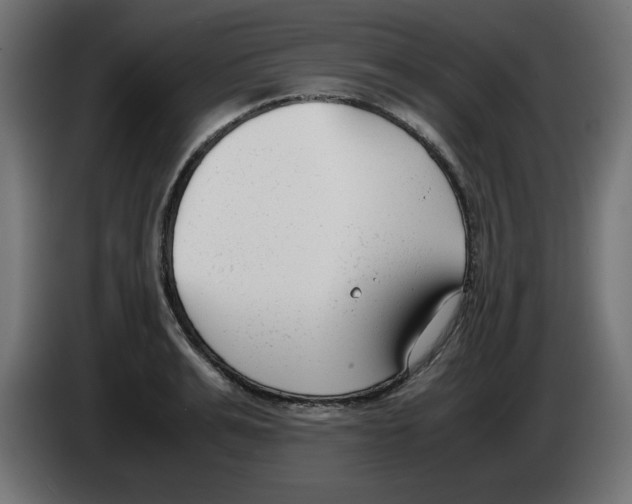 X0000083010991200703021936