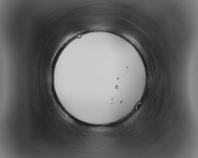 X0000083010992200703021936