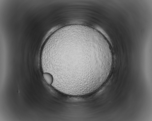 X0000083010994200703021936