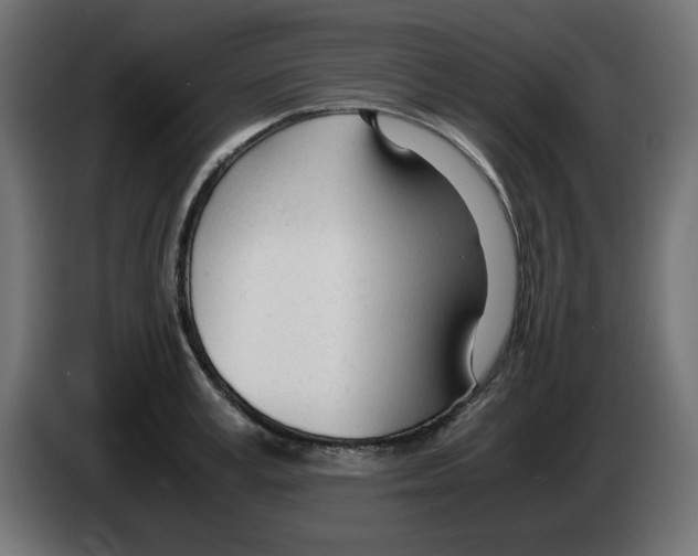 X0000083010995200703021936