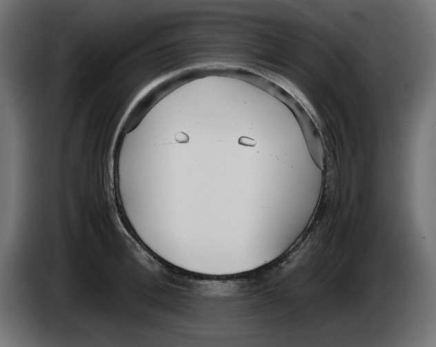 X0000083010996200703021936