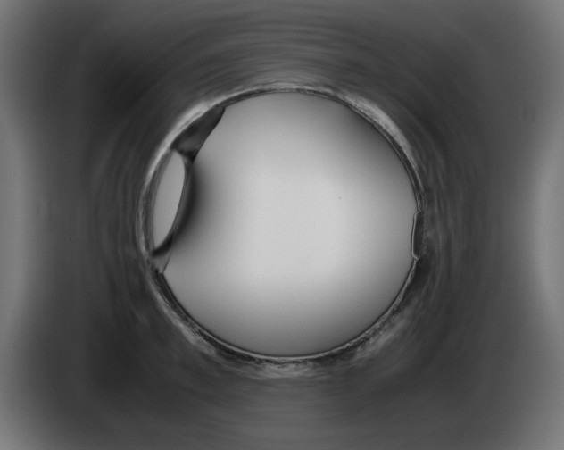 X0000083010997200703021936