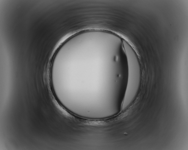 X0000083010998200703021936