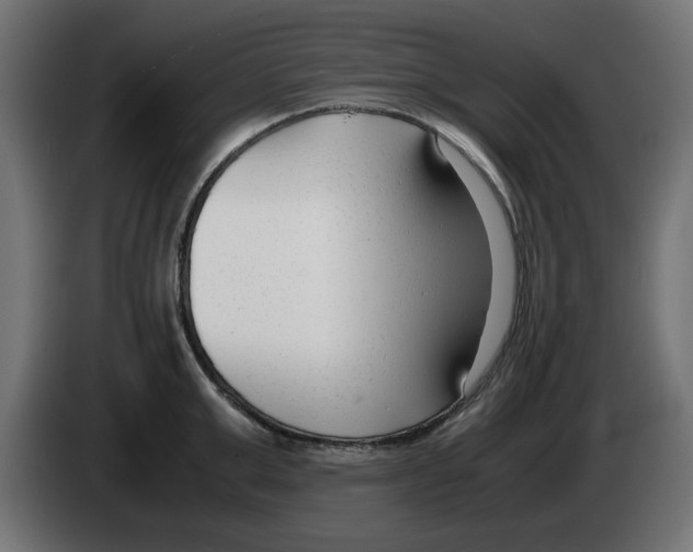 X0000083010999200703021936