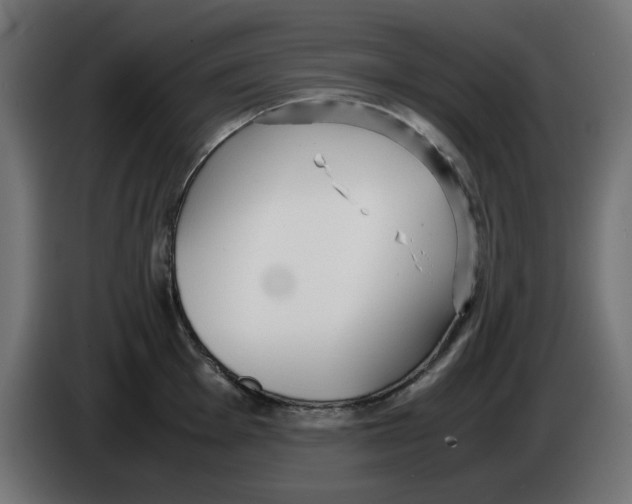 X0000083011001200703021936