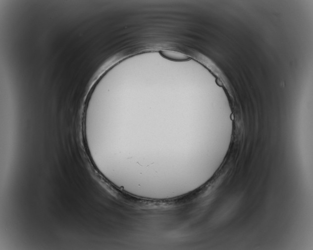 X0000083011002200703021936