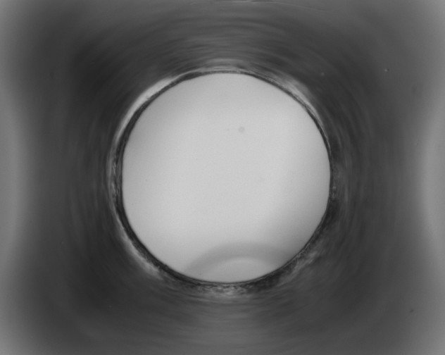 X0000083011003200703021936