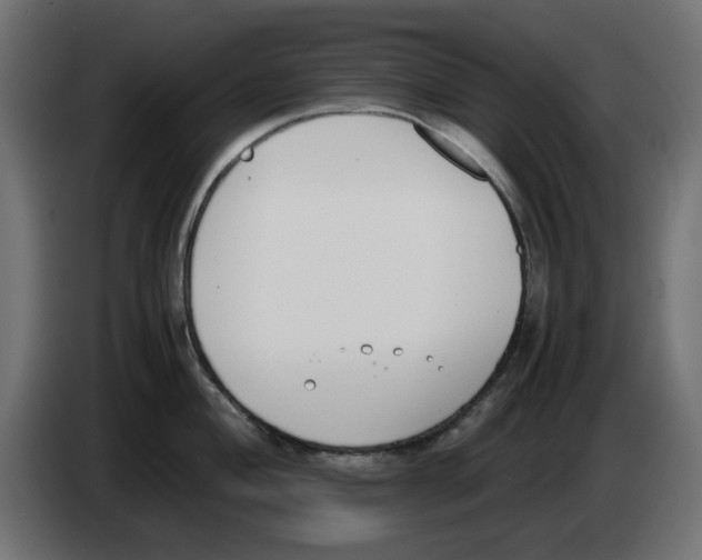 X0000083011004200703021936