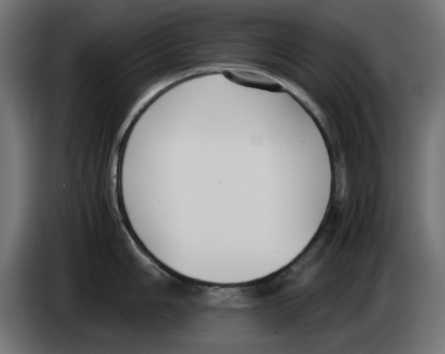 X0000083011006200703021936