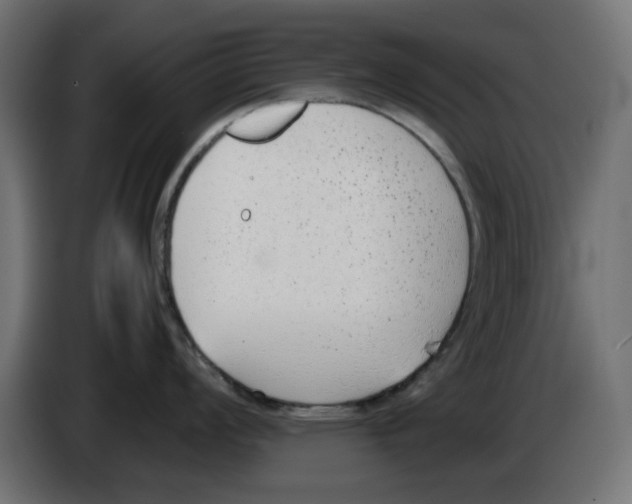 X0000083011008200703021936