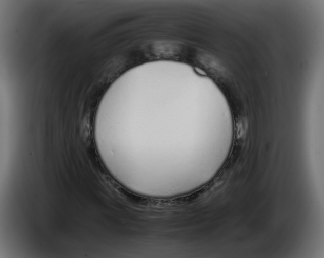 X0000083011011200703021935