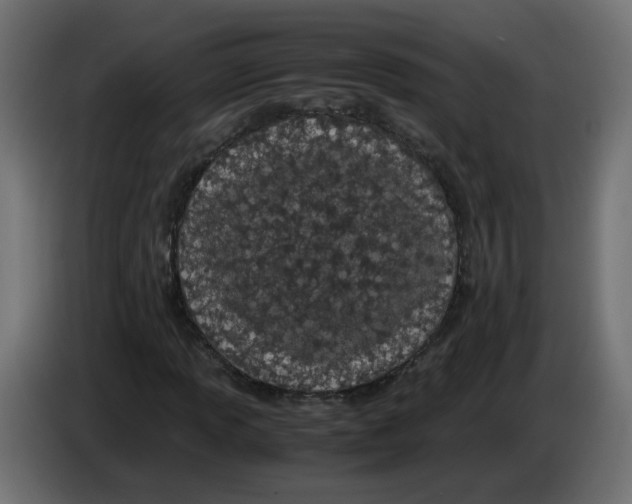 X0000083011013200703021935