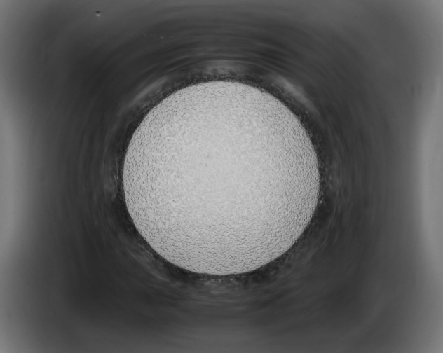 X0000083011015200703021935