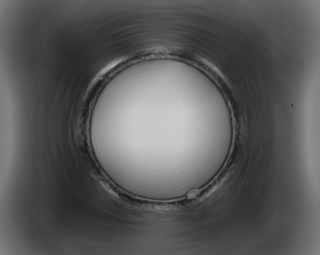 X0000083011018200703021935