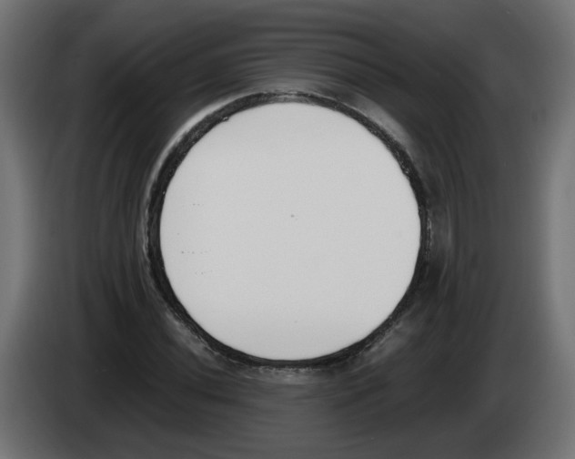 X0000083011020200703021935