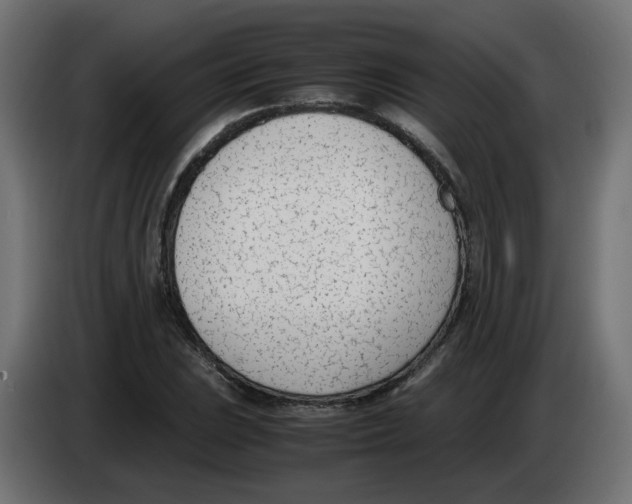 X0000083011023200703021935