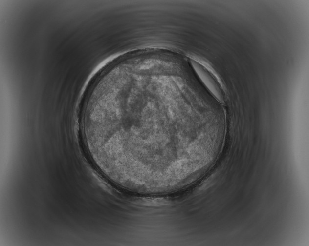 X0000083011024200703021935