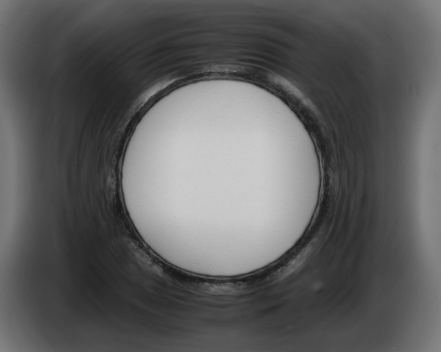 X0000083011025200703021936