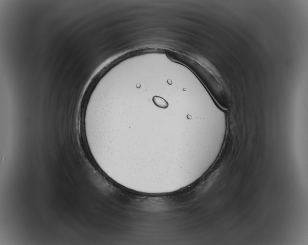 X0000083011028200703021936