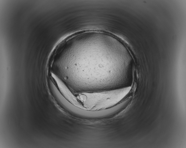 X0000083011030200703021936