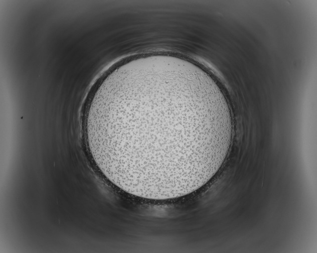 X0000083011031200703021936