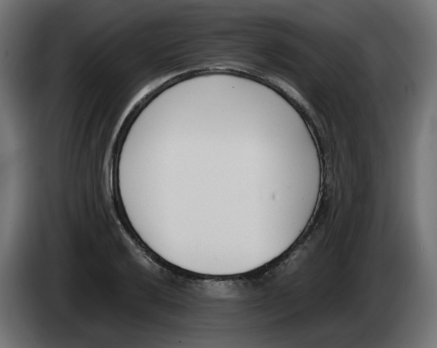 X0000083011032200703021936