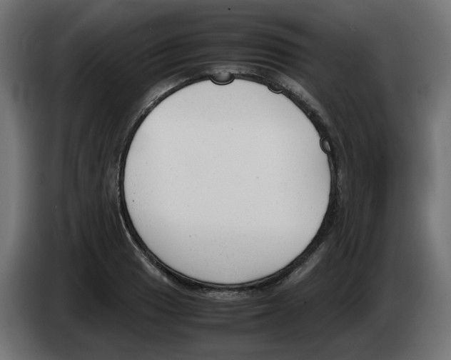 X0000083011033200703021936