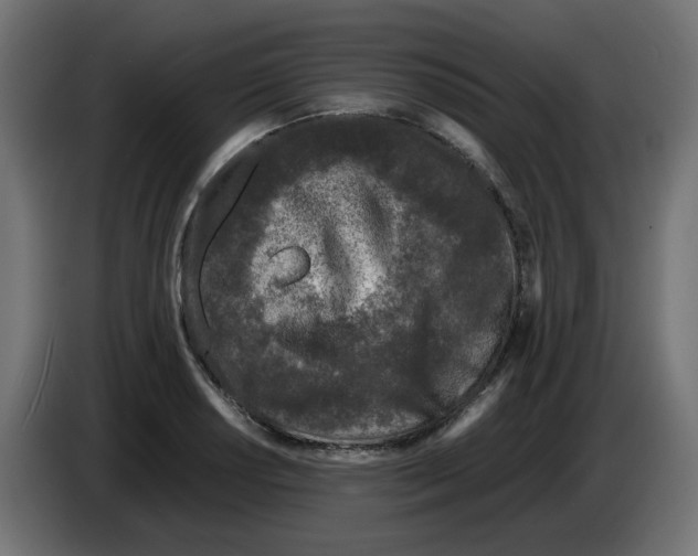 X0000083011034200703021936