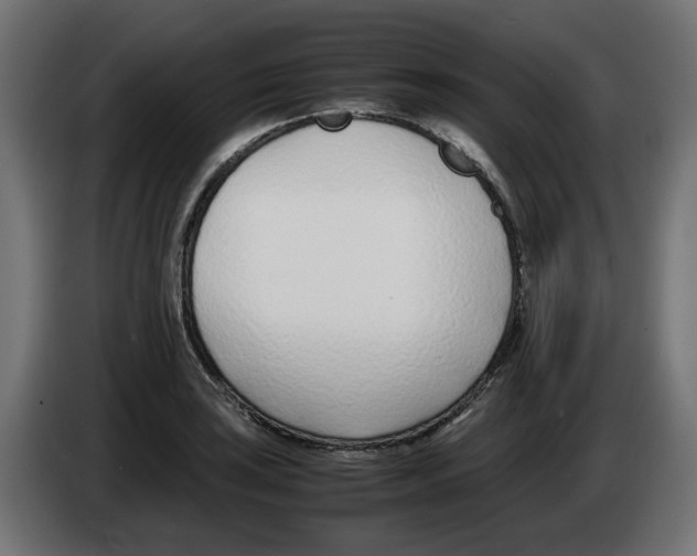 X0000083011035200703021936