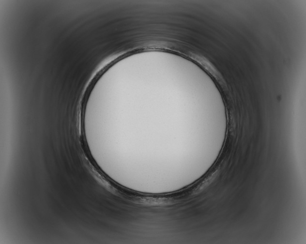 X0000083011036200703021936