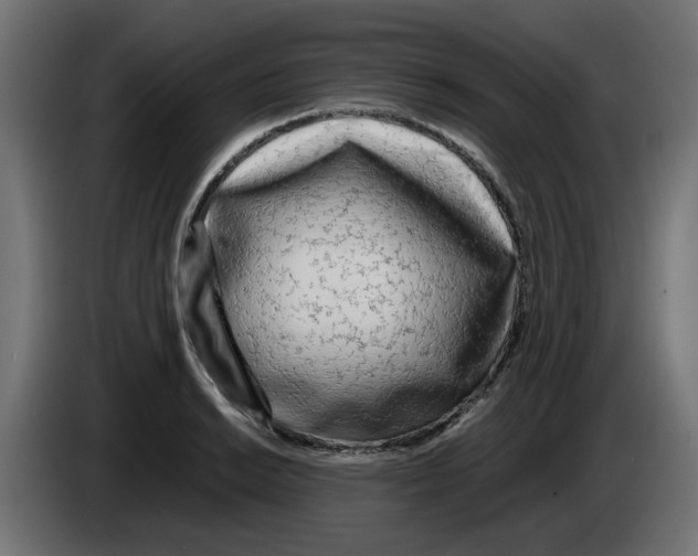 X0000083011038200703021936