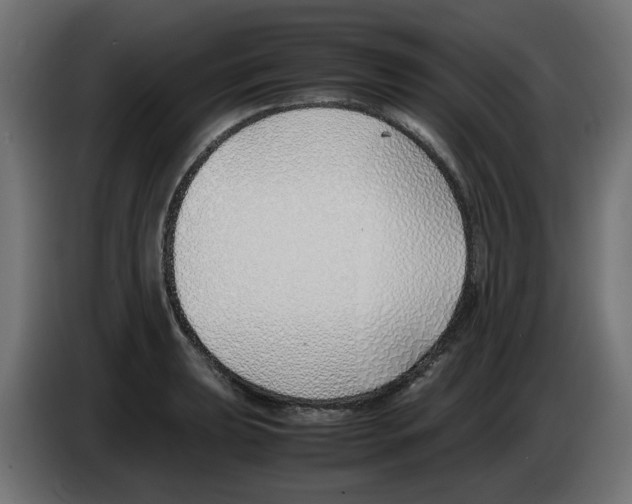 X0000083011039200703021936