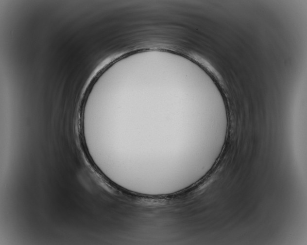 X0000083011040200703021936