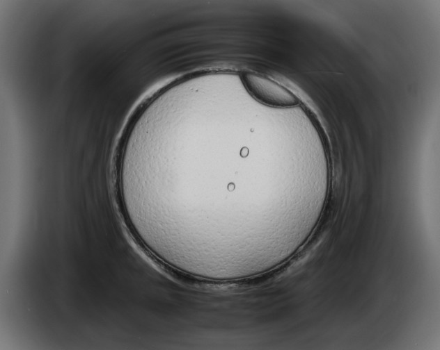 X0000083011045200703021936