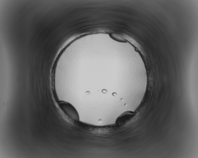 X0000083011047200703021936