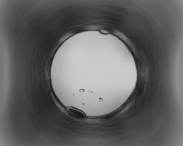 X0000083011049200703021936