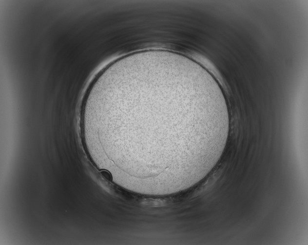 X0000083011051200703021936