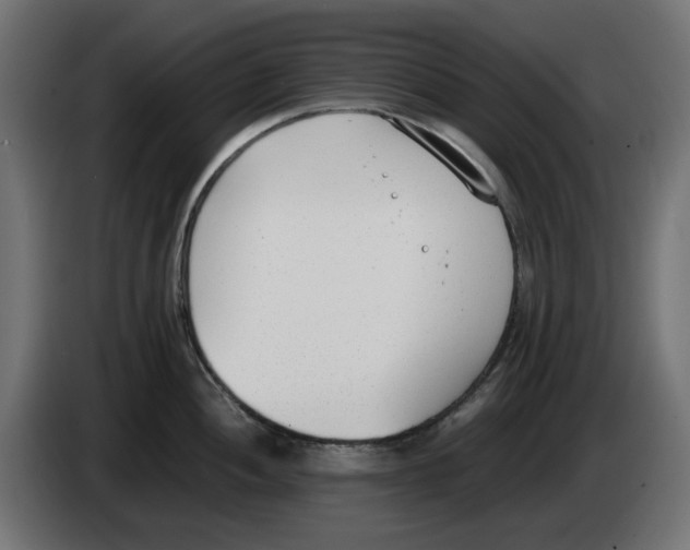 X0000083011052200703021936