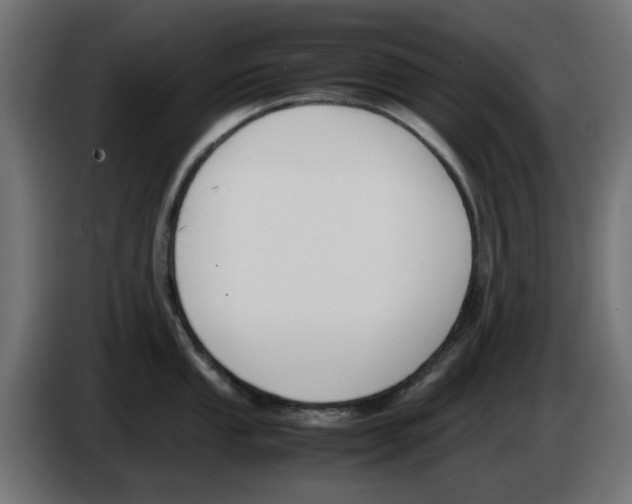 X0000083011053200703021936