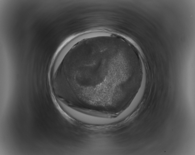 X0000083011054200703021936