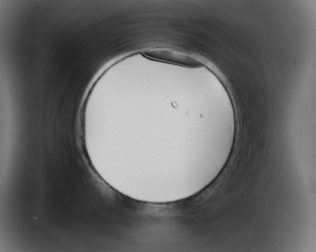 X0000083011056200703021936