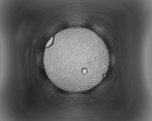 X0000083011059200703021935