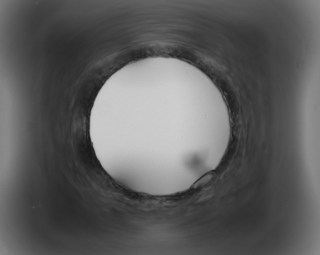 X0000083011061200703021935