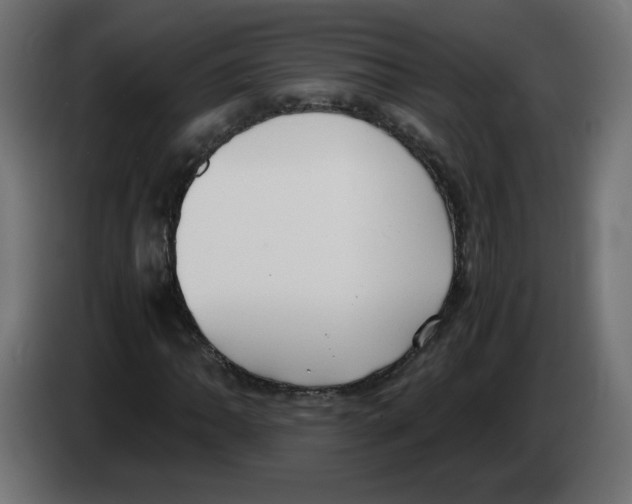 X0000083011062200703021935