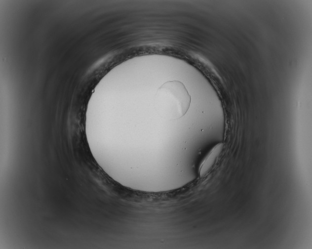 X0000083011064200703021935